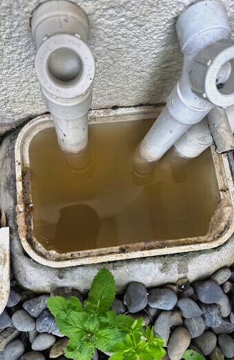 https://blockeddrainshighgate.com.au/uploads/2025/07/blocked-drains-82500.jpg