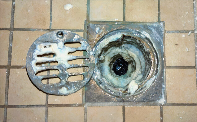 https://blockeddrainshighgate.com.au/uploads/2025/07/blocked-shower-drains-33151.jpg