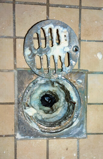 https://blockeddrainshighgate.com.au/uploads/2025/07/blocked-shower-drains-86331.jpg